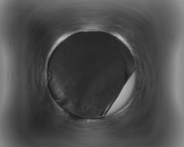 X0000086261469200704191853
