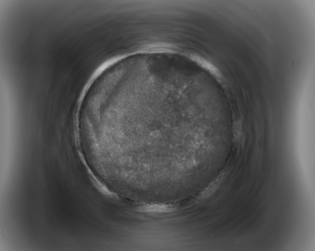 X0000086261470200704191853