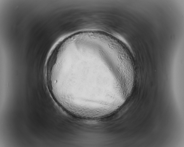 X0000086261472200704191853