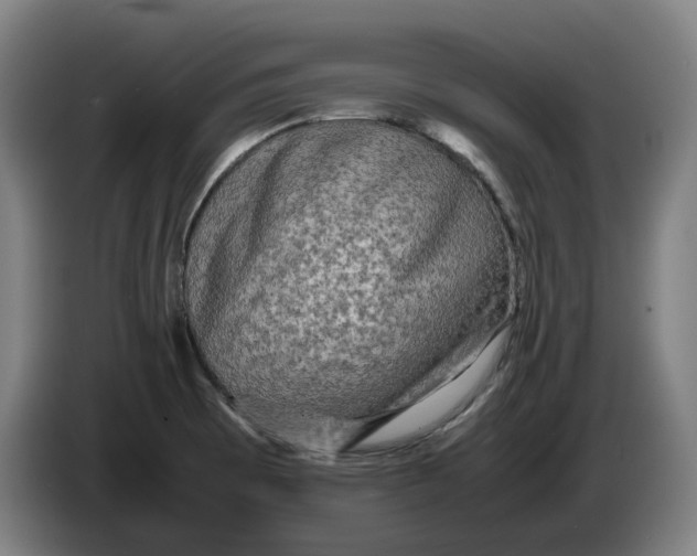 X0000086261473200704191853
