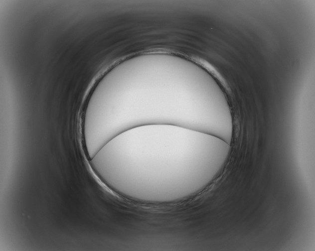 X0000086261476200704191853