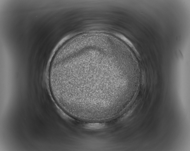 X0000086261478200704191853