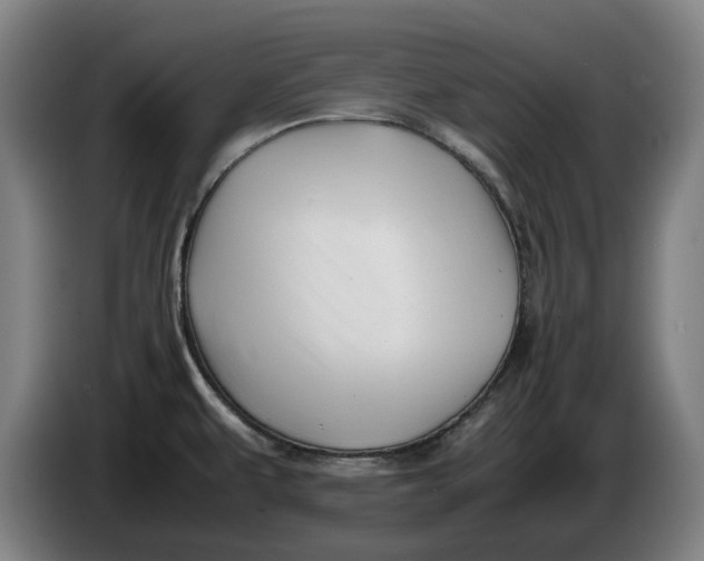 X0000086261479200704191853