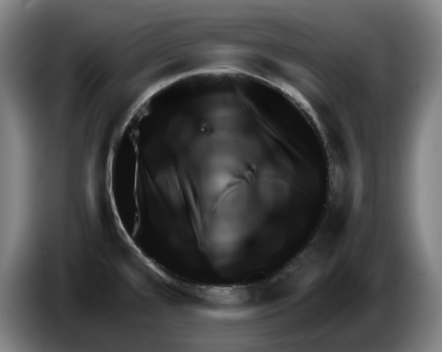 X0000086261480200704191853