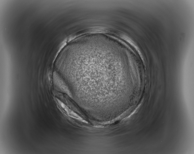 X0000086261481200704191853