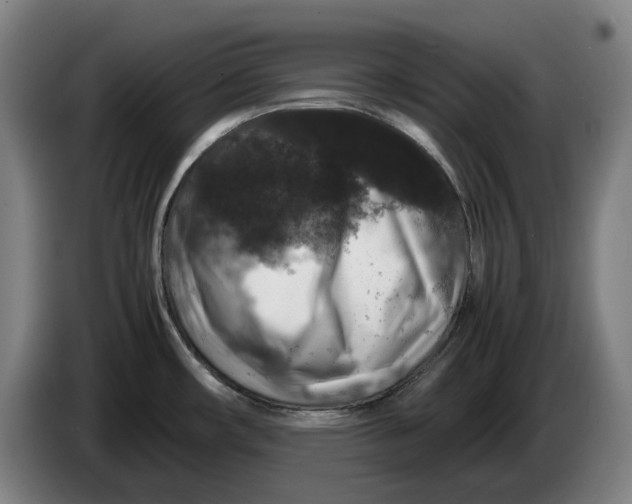 X0000086261482200704191853