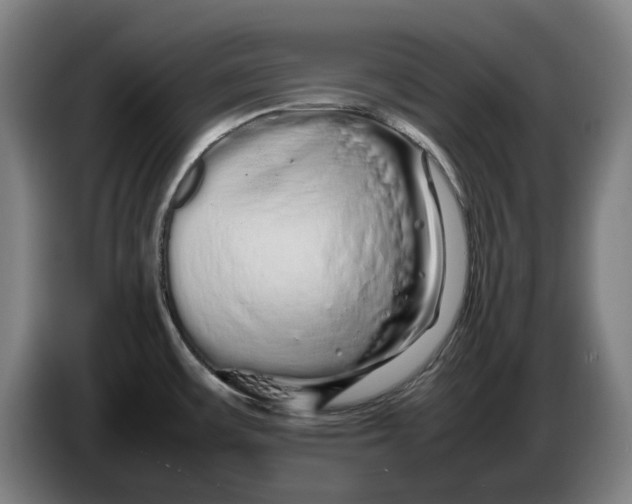 X0000086261483200704191853