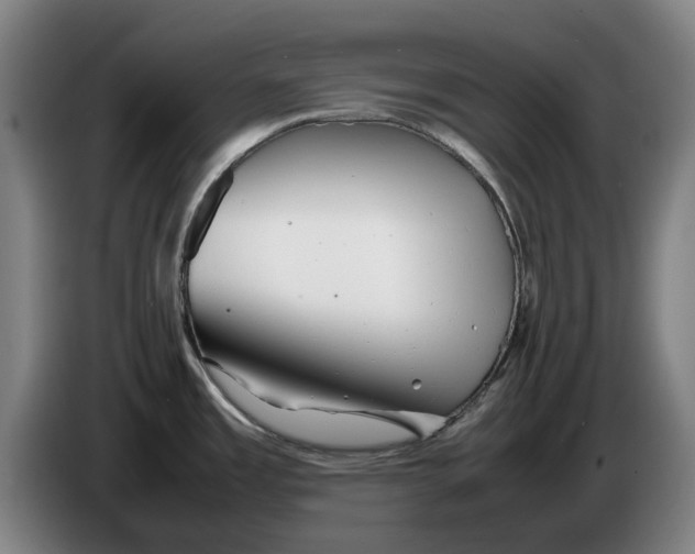 X0000086261485200704191853