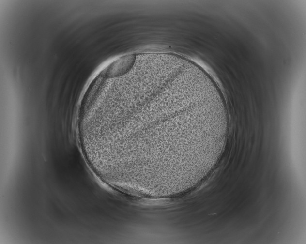 X0000086261486200704191853