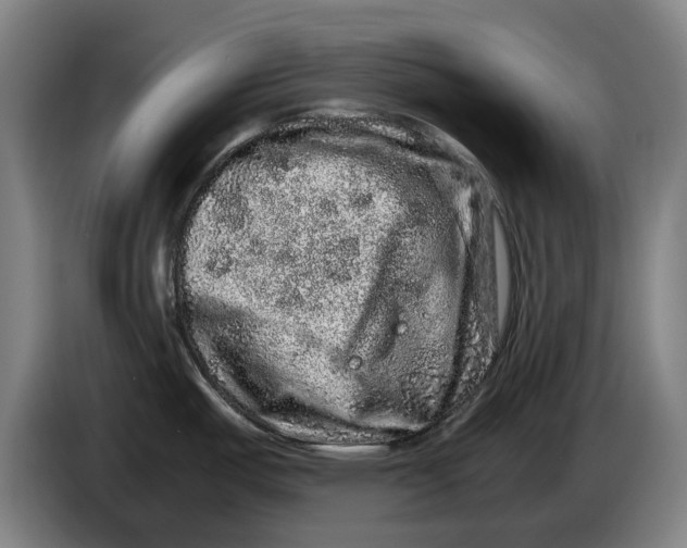 X0000086261487200704191853