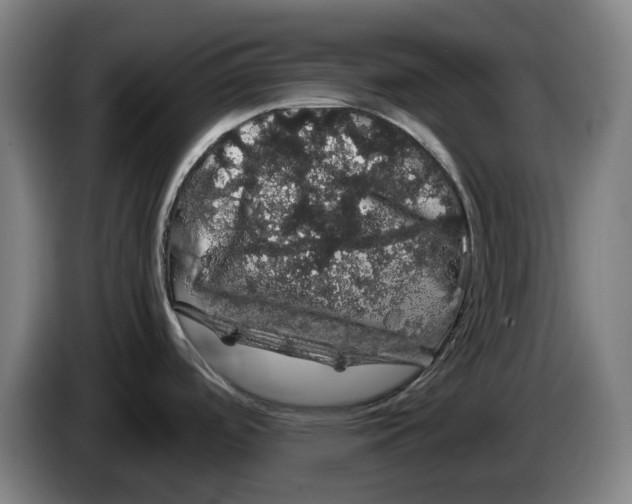 X0000086261488200704191853