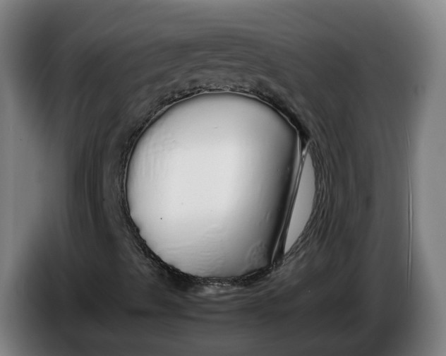 X0000086261489200704191852