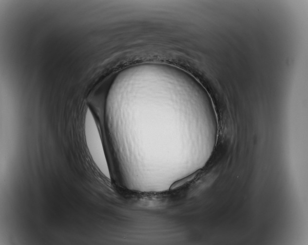 X0000086261490200704191852