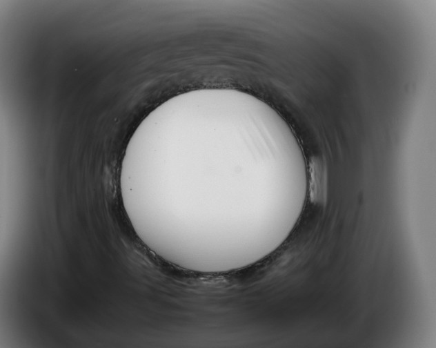 X0000086261491200704191852