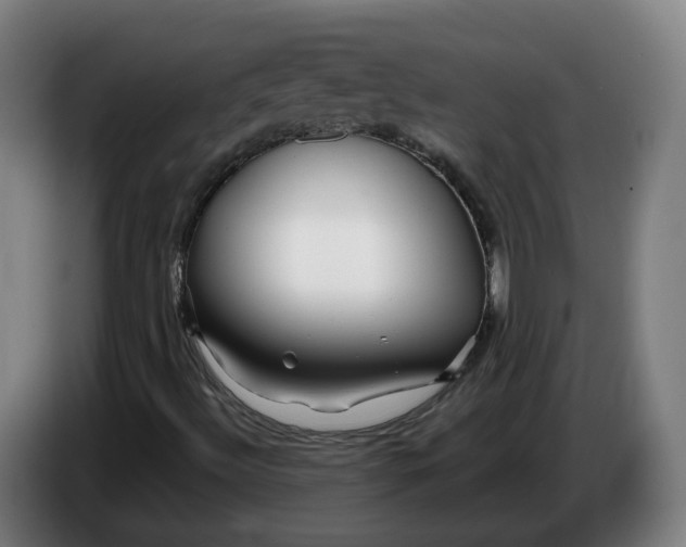 X0000086261492200704191852