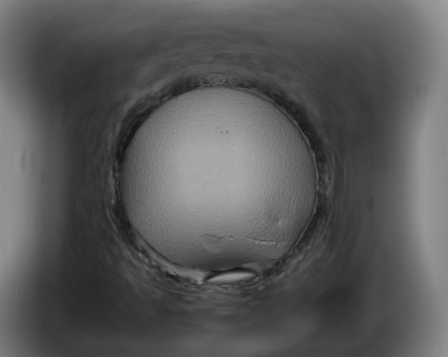 X0000086261493200704191852
