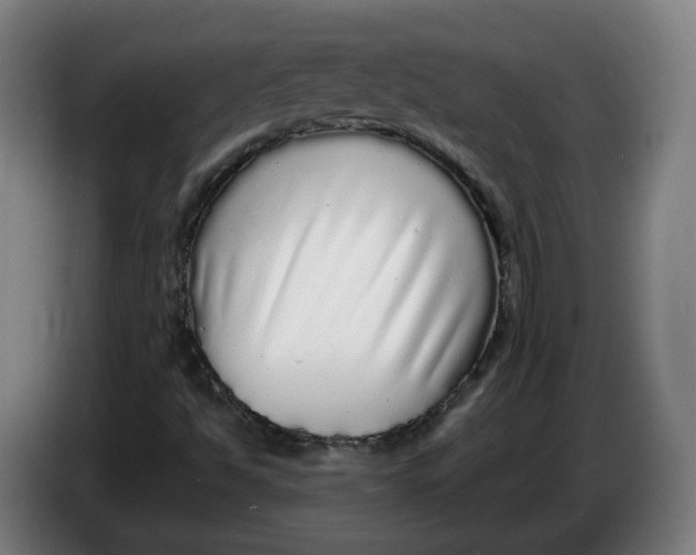 X0000086261494200704191852