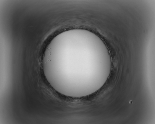 X0000086261495200704191852