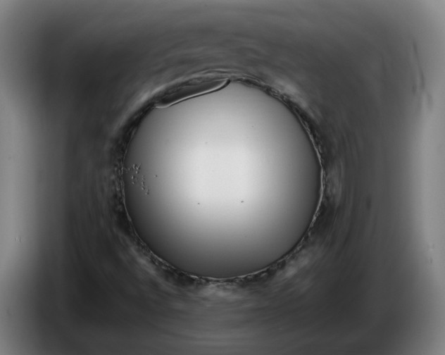 X0000086261496200704191852