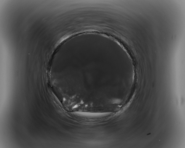 X0000086261497200704191852