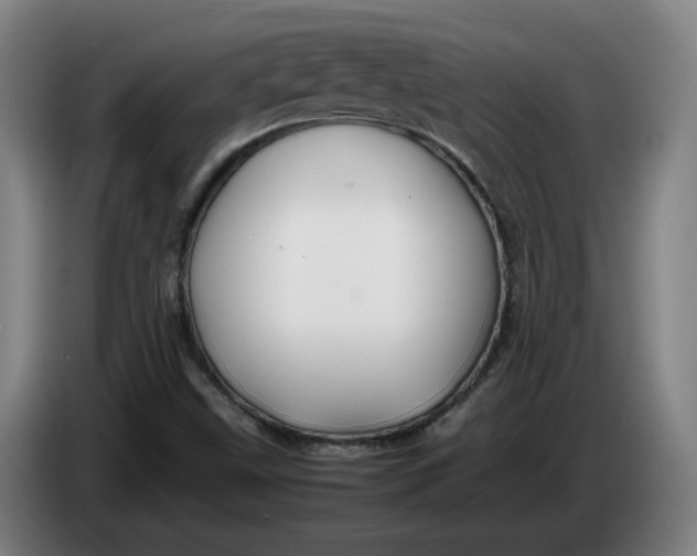 X0000086261499200704191852