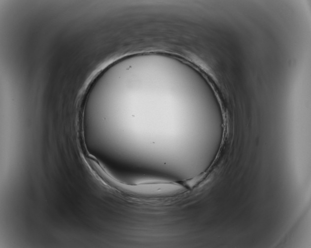 X0000086261500200704191852