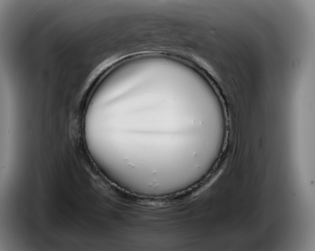 X0000086261501200704191852