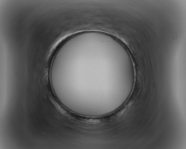 X0000086261503200704191852