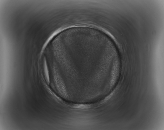 X0000086261506200704191852