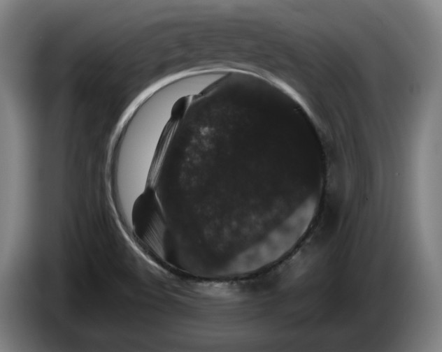 X0000086261508200704191853