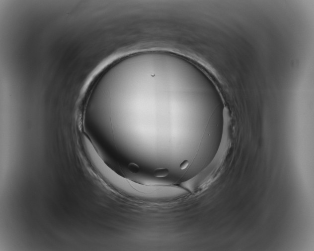 X0000086261510200704191853