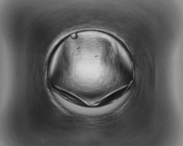 X0000086261511200704191853