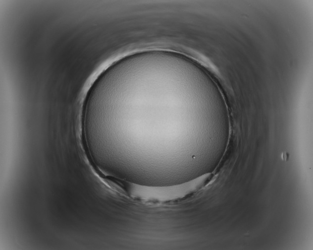 X0000086261512200704191853