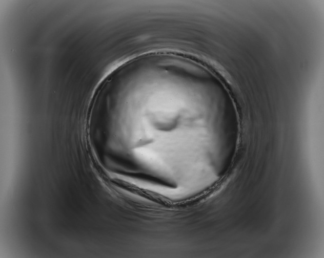 X0000086261513200704191853