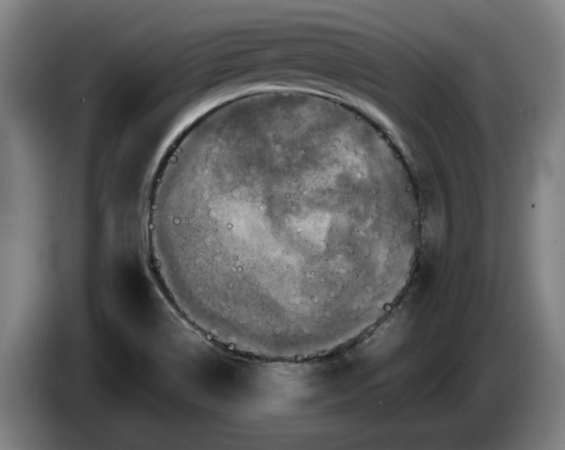 X0000086261514200704191853