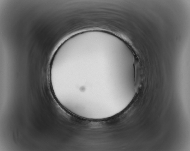 X0000086261516200704191853