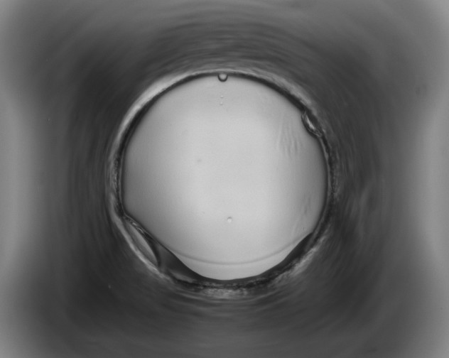X0000086261517200704191853