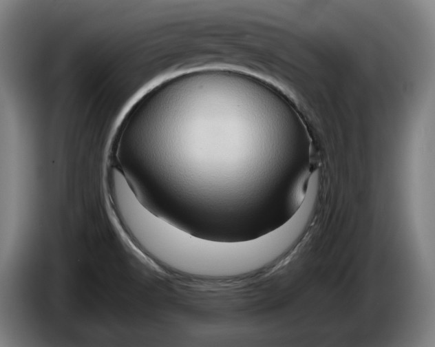 X0000086261518200704191853