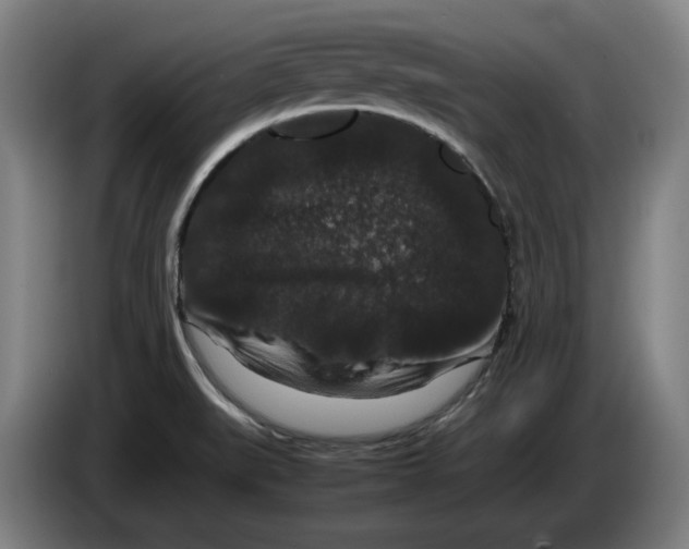 X0000086261519200704191853
