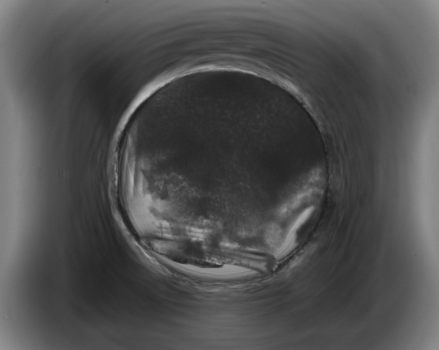 X0000086261522200704191853