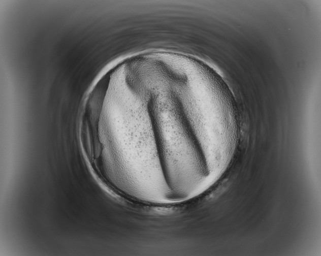 X0000086261523200704191853