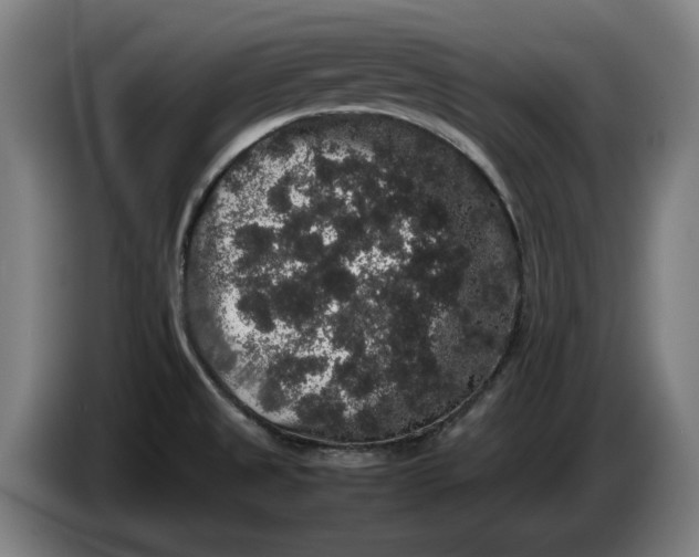 X0000086261525200704191853