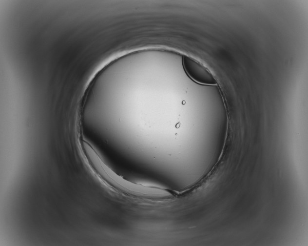 X0000086261526200704191853