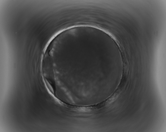 X0000086261527200704191853