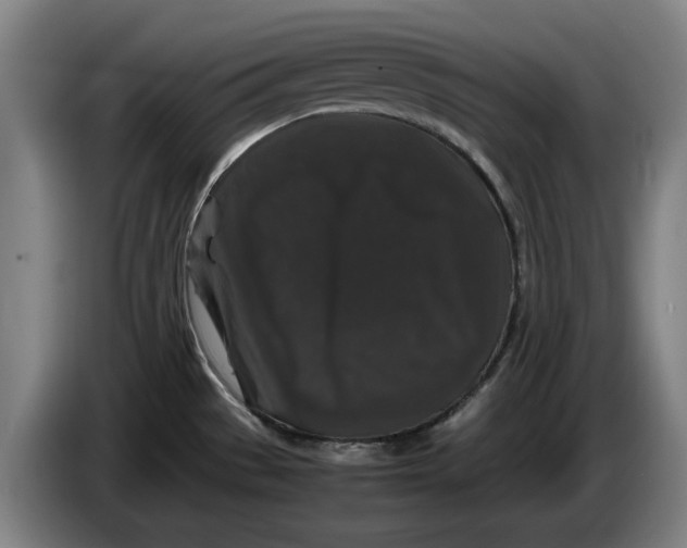 X0000086261529200704191853