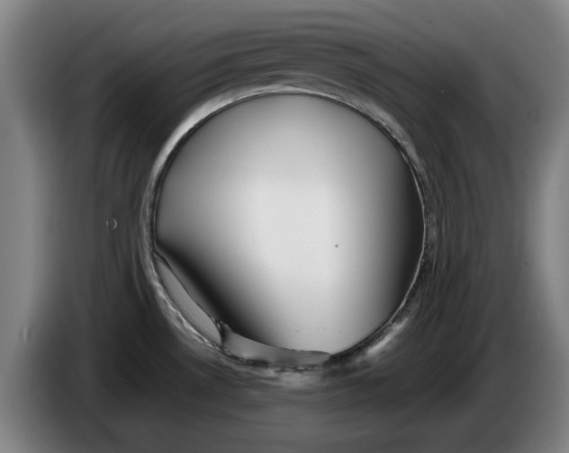 X0000086261530200704191853