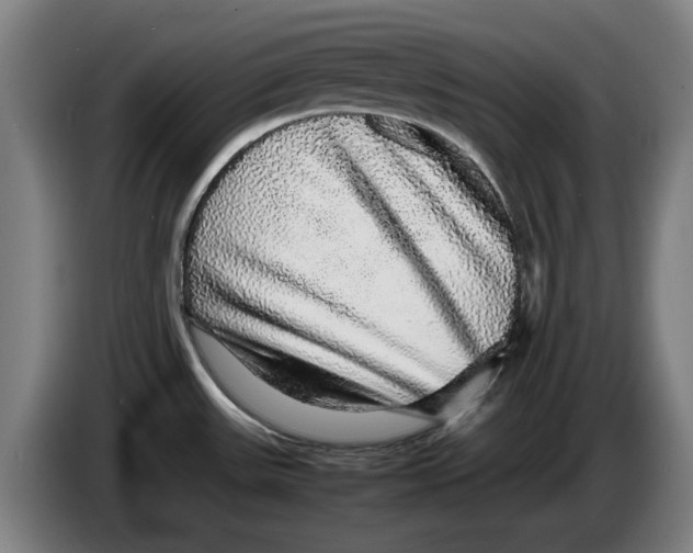 X0000086261531200704191853