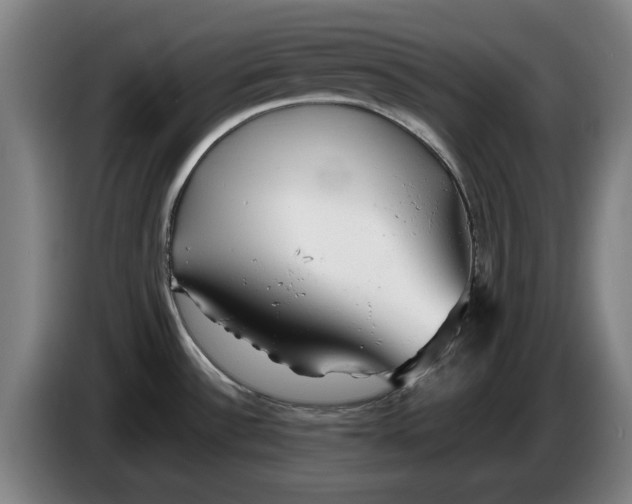 X0000086261532200704191853