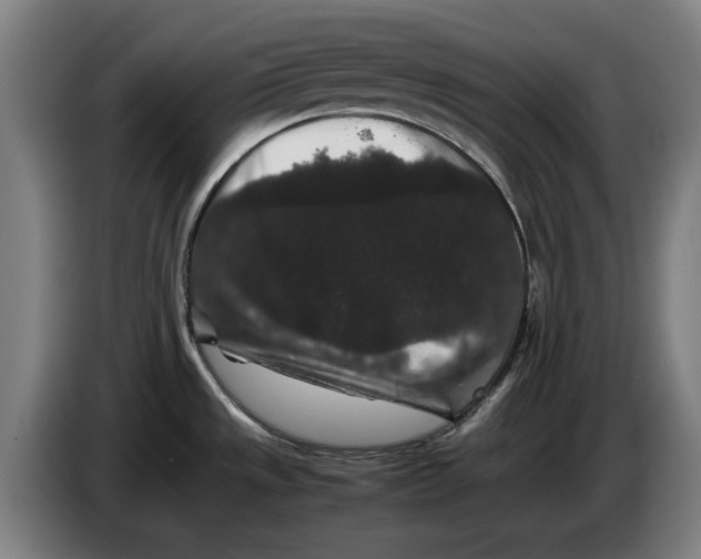 X0000086261533200704191853