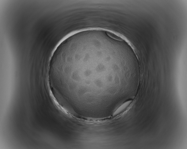 X0000086261534200704191853